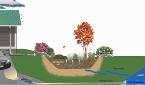 Green Stormwater Infrastructure