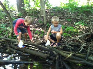 IMG_1155 copy