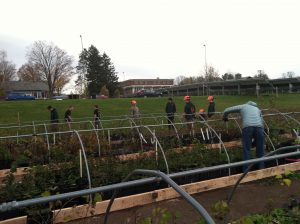 IMG_1529
