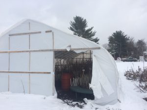 upper greenhouse in snow
